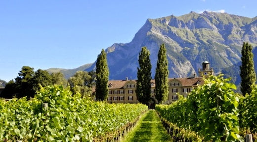 Le vignoble des Grisons, un trésor caché sur les rives du Rhin